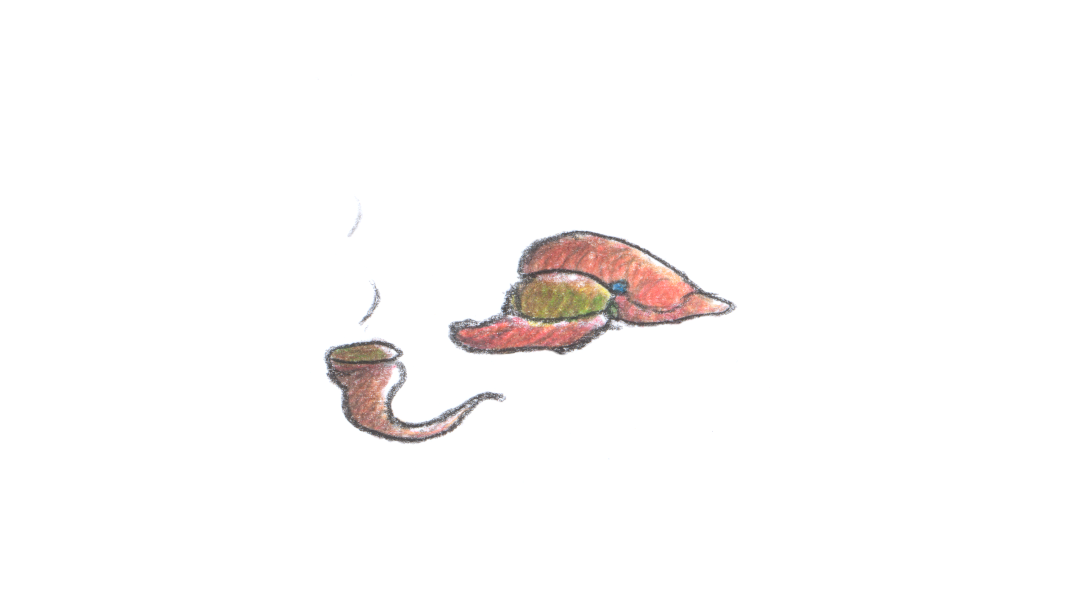 Hat and pipe