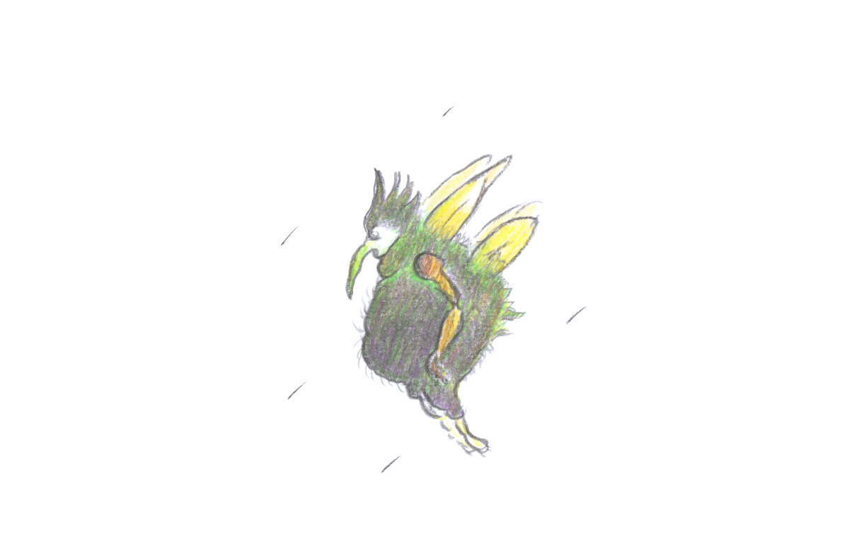 Hotton flies- Globiopedia © R.L. Douglas, 2024