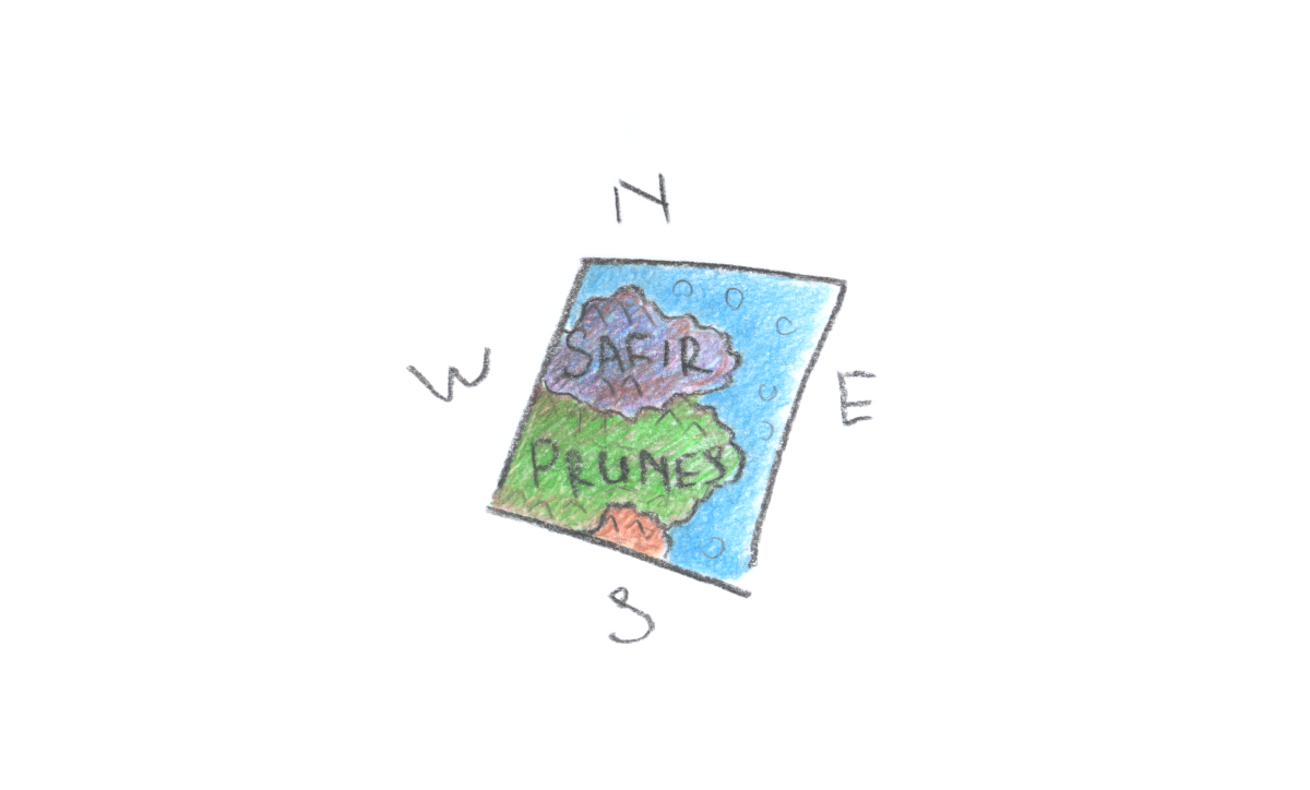 Map of Safir