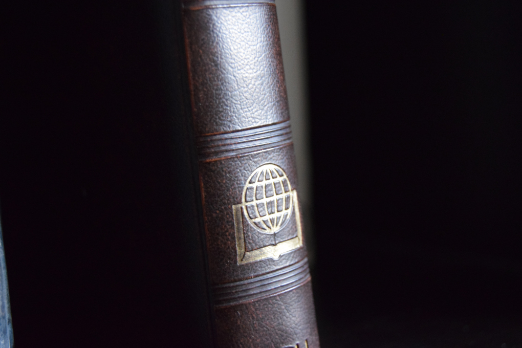 The glossary of Globiuz - Mormods
