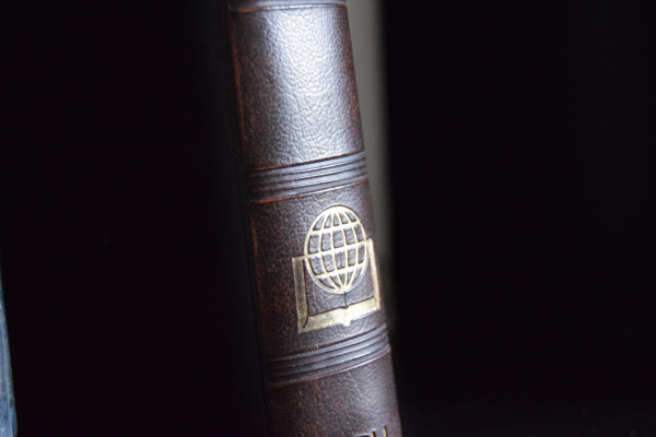 The glossary of Globiuz - Mormods